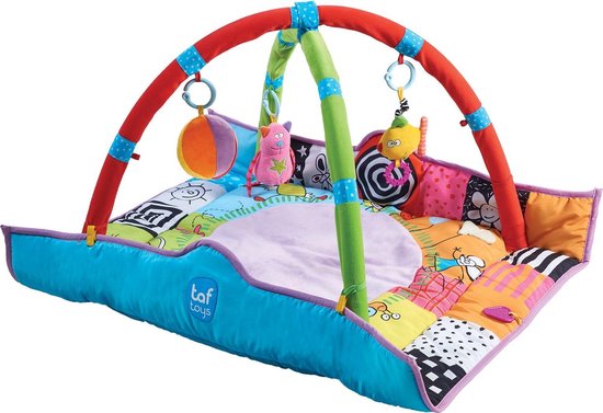 TafToys Newborn Gym - Speelkleed met afneembare bogen en speeltjes