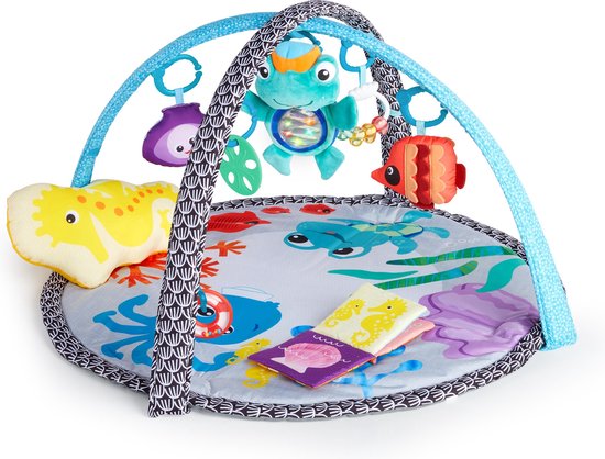 Sea Friends Activity Gym