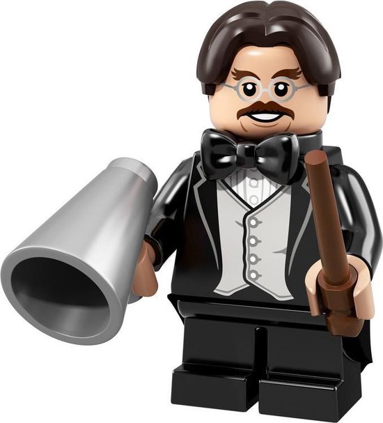 LEGO Minifigures Wizarding World - Professor Filius Flitwick 13/22 - 71022