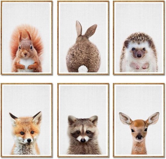 Baby Dieren Prints | Kinderkamer Decoratie | Kleine Dieren Foto's | Posters | 6 Stuks | A4 Formaat | Babykamer | Kinderposters | Wanddecoratie | Kinderkamer Decoratie Jongens | Kinderkamer Decoratie Meisjes