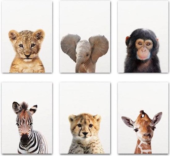 Baby Dieren Prints | Kinderkamer Decoratie | Kleine Dieren Foto's | Safari Posters | 6 Stuks | A4 Formaat | Babykamer | Kinderposters | Wanddecoratie | Kinderkamer Decoratie Jongens | Kinderkamer Decoratie Meisjes